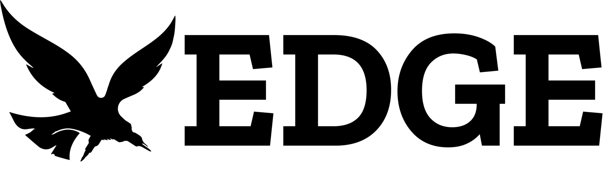 Edge Scalp Ink, Scalp Micropigmentation Hair Tattoo